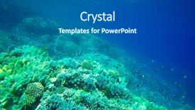  Presentation with coral - Colorful theme enhanced with underwater panorama with fish and coral backdrop and a gray colored foreground