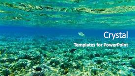  Presentation with coral - Cool new slide set with underwater-panorama-with-fish backdrop and a teal colored foreground