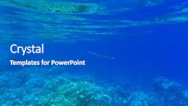  Presentation with coral - Presentation featuring underwater panorama with fish and coral background and a dark gray colored foreground