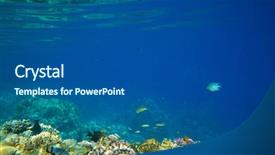  Presentation with coral - Beautiful PPT layouts featuring underwater panorama with fish and coral backdrop and a dark gray colored foreground