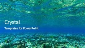  Presentation with coral - Slide deck having underwater panorama with fish and coral background and a gray colored foreground
