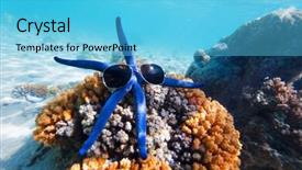  Presentation with sun star - Slide deck featuring underwater photo of blue star fish with sun glasses at tropical coral reef background and a light blue colored foreground
