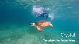  Presentation with family photo - Cool new slides with underwater photo of family mother and son snorkeling and swimming with hawksbill sea turtle backdrop and a ocean colored foreground