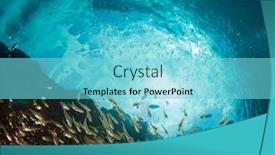  Presentation with fish ocean - Amazing slide deck having underwater-photo-of-fish backdrop and a light blue colored foreground