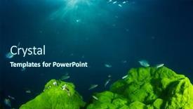  Presentation with green algae - Slide deck with underwater-photo-of-green-algae background and a ocean colored foreground