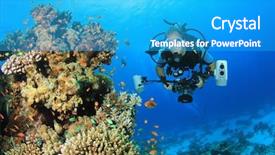  Presentation with scuba diving - Theme consisting of underwater photographer scuba diving with camera on coral reef in ocean background and a cyan colored foreground