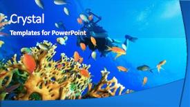  Presentation with coral reef - Presentation enhanced with underwater photographer with digital slr background and a cobalt blue colored foreground