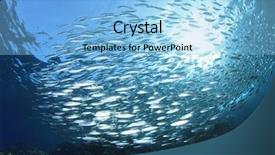  Presentation with underwater - Presentation theme having underwater sardine shoal and sunburst background and a light blue colored foreground