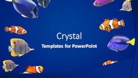  Presentation with dark space - Cool new PPT theme with underwater-scene-with-beautiful-tropical backdrop and a navy blue colored foreground