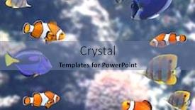  Presentation with scene - Cool new theme with underwater-scene-with-beautiful-tropical backdrop and a ocean colored foreground