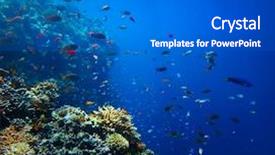  Presentation with coral reef - Presentation theme consisting of underwater shoot of a vivid background and a gray colored foreground