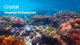  Presentation with coral reef - Presentation with  background and a  colored foreground.