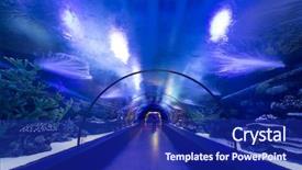  Presentation with tunnel - PPT layouts enhanced with underwater tunnel background and a navy blue colored foreground