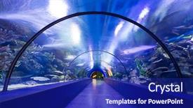  Presentation with tunnel - Beautiful presentation theme featuring underwater tunnel backdrop and a navy blue colored foreground