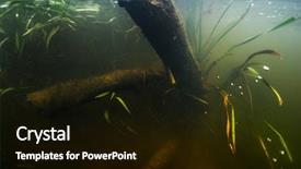  Presentation with underwater - Cool new presentation with underwater view of the river backdrop and a black colored foreground