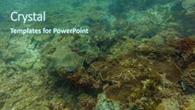  Presentation with underwater - Slides enhanced with underwater world in an ocean background and a ocean colored foreground