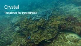  Presentation with underwater - PPT layouts consisting of underwater world in an ocean background and a ocean colored foreground