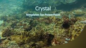  Presentation with underwater - Beautiful slides featuring underwater world in an ocean backdrop and a ocean colored foreground