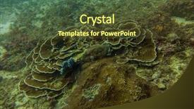  Presentation with underwater - Slides having underwater world in an ocean background and a tawny brown colored foreground