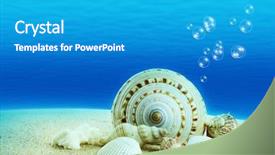  Presentation with underwater - PPT theme consisting of underwater world seashells with underwater background and a teal colored foreground