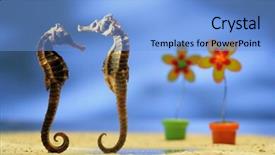  Presentation with underwater - PPT theme with underwater background and a light blue colored foreground