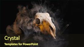  Presentation with skull - Presentation enhanced with underworld - ram skull with horns covered background and a wine colored foreground