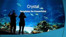  Presentation with fishes - Colorful PPT theme enhanced with underworld - real underwater background with fishes backdrop and a ocean colored foreground