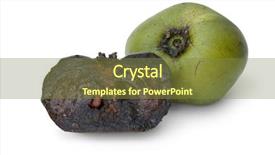  Presentation with unripe - Amazing PPT layouts having undip - fresh whole unripe and half backdrop and a tawny brown colored foreground