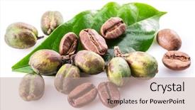  Presentation with green coffee beans - Cool new slide deck with undip - green coffee beans roasted beans backdrop and a coral colored foreground