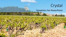  Presentation with vineyards - Beautiful theme featuring undip - vineyards near chateauneuf-du-pape provence france backdrop and a light blue colored foreground