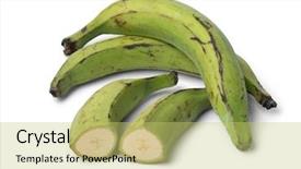  Presentation with unripe - Presentation theme enhanced with undip - whole and half green unripe background and a yellow colored foreground