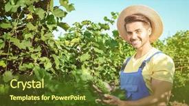  Presentation with unripe - Cool new presentation design with undip - young male farmer holding unripe backdrop and a tawny brown colored foreground