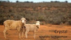  Presentation with australian outback - PPT theme featuring unfenced red desert country background and a red colored foreground