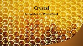  Presentation with honeycomb - Amazing PPT theme having unfinished honey in honeycombs backdrop and a gold colored foreground