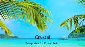  Presentation with palm leaves - Presentation design featuring uninhabited - palm tree leaves background and a cyan colored foreground