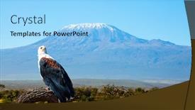  Presentation with kenya - Theme having unique-amboseli-park-bald-eagle background and a light blue colored foreground