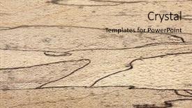  Presentation with maple - Slide deck having spalted maple texture with unique background and a coral colored foreground