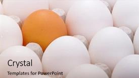  Presentation with egg - Cool new slides with unique different - golden egg backdrop and a soft green colored foreground