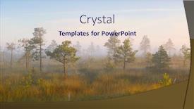  Presentation with area - Slide set with unique-natural-area-yelnya-bog background and a sky blue colored foreground