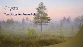  Presentation with area - Slides with unique-natural-area-yelnya-bog background and a light blue colored foreground