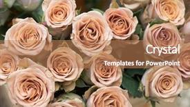  Presentation with wedding roses - Theme featuring unique wedding flowers colorful roses background and a coral colored foreground