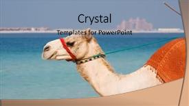  Presentation with dubai palm - Amazing slides having united arab emirates - camel on jumeirah beach dubai backdrop and a light blue colored foreground