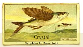  Presentation with 1970 - Audience pleasing presentation consisting of united-states-of-america-circa backdrop and a yellow colored foreground