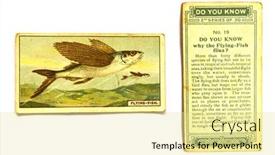  Presentation with 1970 - PPT layouts with united-states-of-america-circa background and a blonde colored foreground