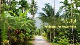  Presentation with trees - Audience pleasing presentation consisting of unpaved-road-along-trees-koh backdrop and a tawny brown colored foreground