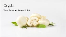  Presentation with herbs - PPT theme featuring unpeeled common mushrooms with herbs background and a  colored foreground