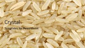  Presentation with rice grain - Audience pleasing PPT theme consisting of unpolished rice whole grain backdrop and a  colored foreground