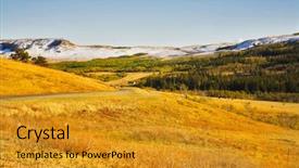  Presentation with wild learning - Beautiful PPT theme featuring unpredictability - herd of wild bizons are backdrop and a  colored foreground