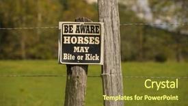  Presentation with caution - Amazing PPT theme having unpredictability - horse may bite or kick backdrop and a tawny brown colored foreground