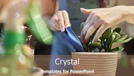  Presentation with drug pot session - Theme with unrecognizable-woman-replants-houseplant background and a coral colored foreground